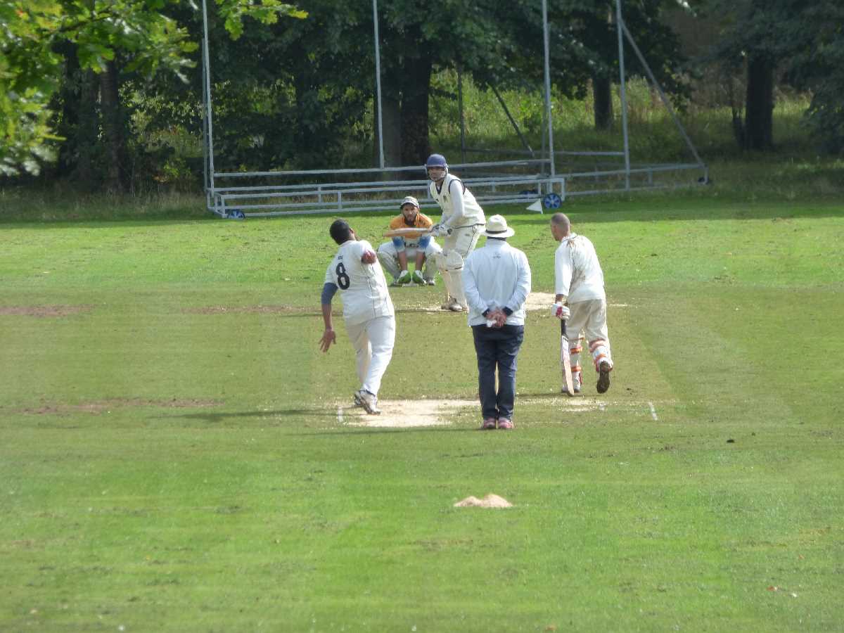 Cricket in Aston Park